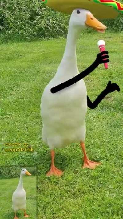 Here is a Mariachi Band to make your day better