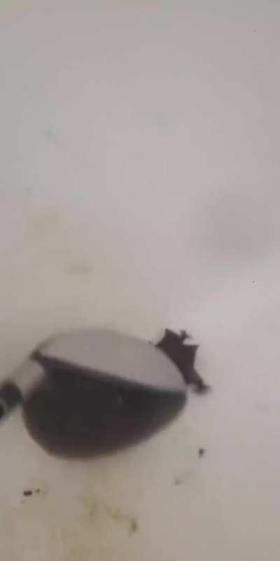 Only time I have dealt with a bat