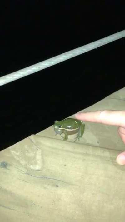 My wife activating the frogs by our pond