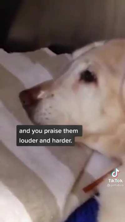 Probably the saddest tik tok I’ve ever seen