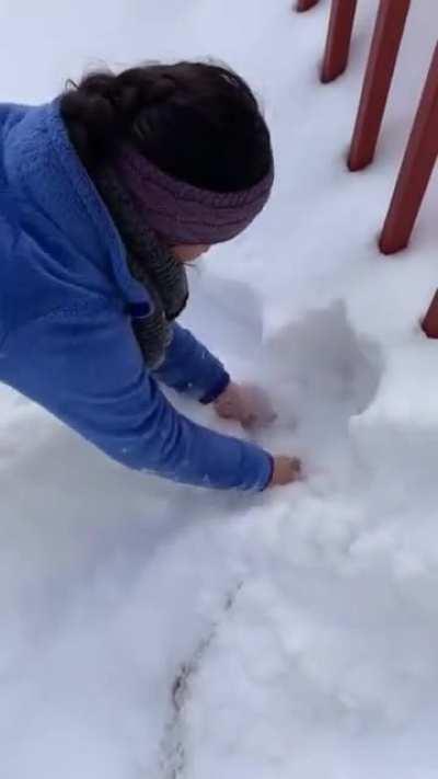 Hold my catnip while I go find out what this white fluffy thingy is