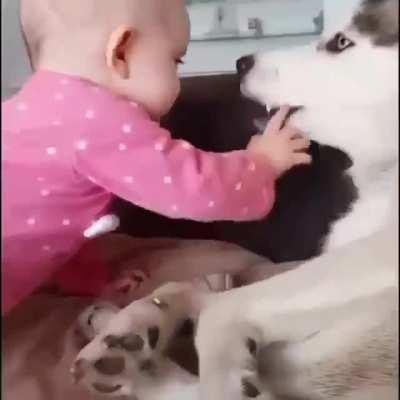 Пушистый нянь