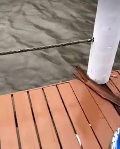 WCGW if moor the boat wrong