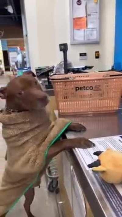 Self care is important. TREAT YOSELF!