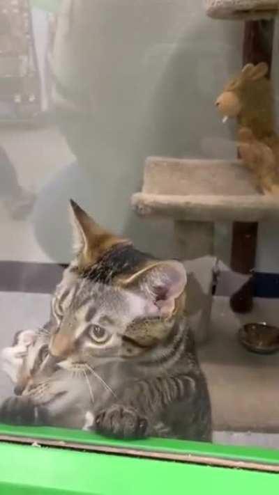 I'm first! Stay down!