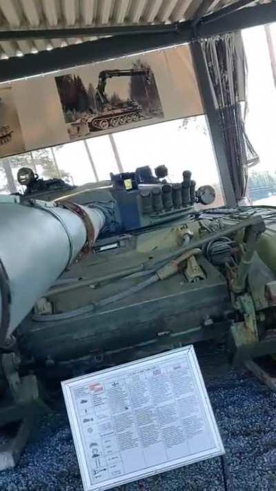 Baby Birds living in a pipe