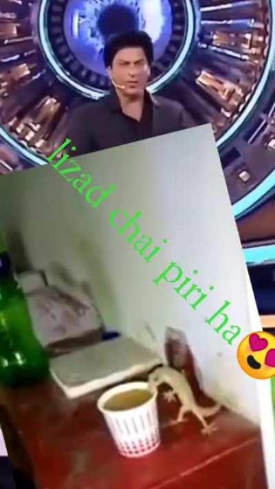 budbabk boycott gang 😵🤢shocked, sallau bhai rocks💪, tamils south👎 movies Are fail infront of khanboys !! 😝😜