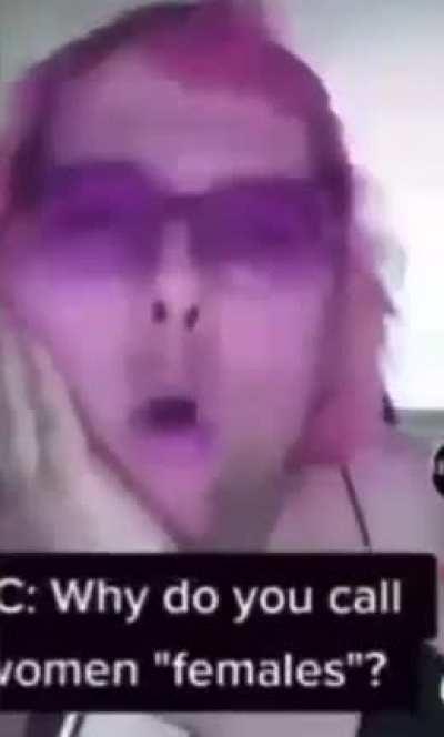 Day 1 of uploading every meme I own. (In order)