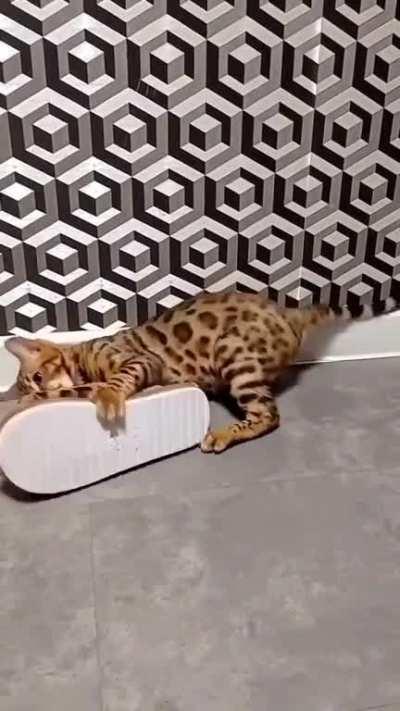 to defeat a slipper 