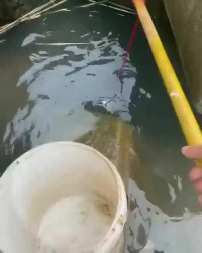 HMRB while I catch lunch!