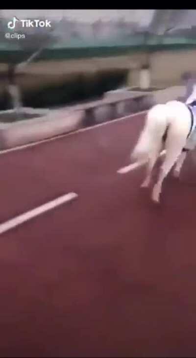 Woke up and chose violence