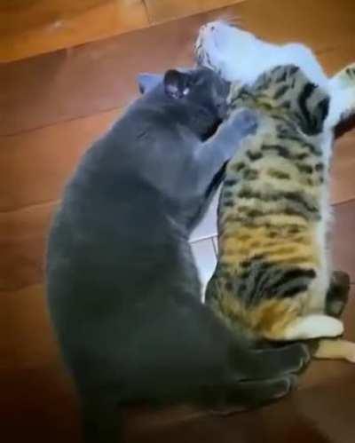 Любовь это...