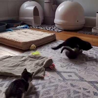 Sister startles brother, resulting in combat maneuvers