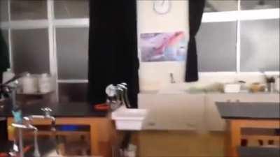 who tf are these girls