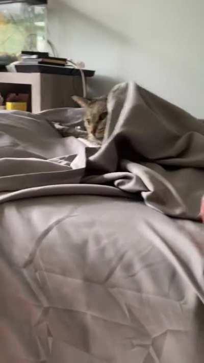 Booster won this one