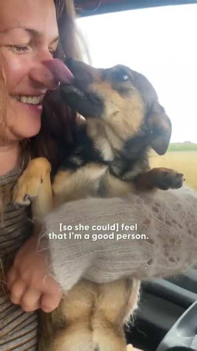 Terrified dog quickly falls in love with her new family