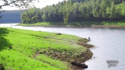 It took me some time to enter the water