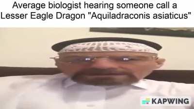 The Age of Contest Slander