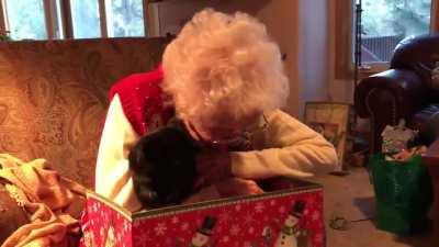 Son gifts mom a black cat (not oc)