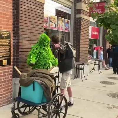 When the weed hit back