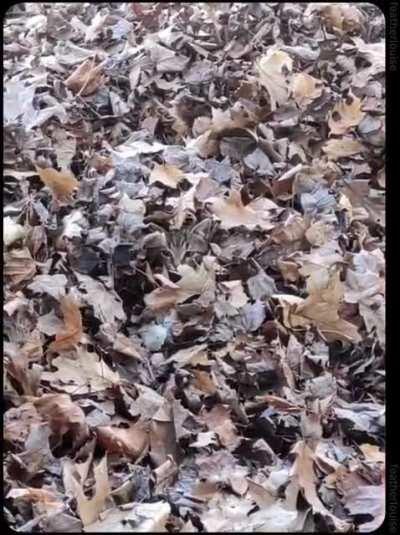 The dimension makes a pretty good hiding spot