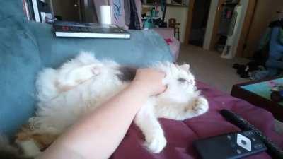 Palette cleanser between political posts.