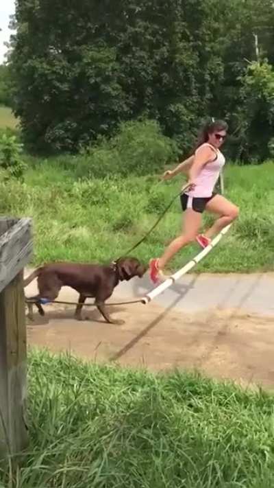 Watch Your Step not the dog..