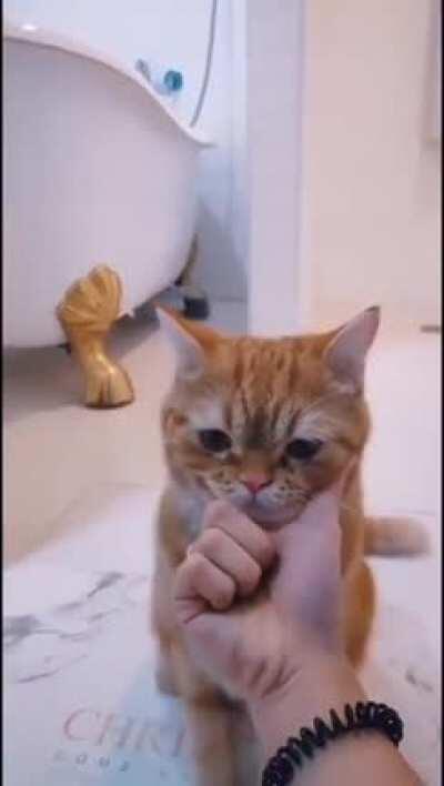 If my chin fits, I sits.