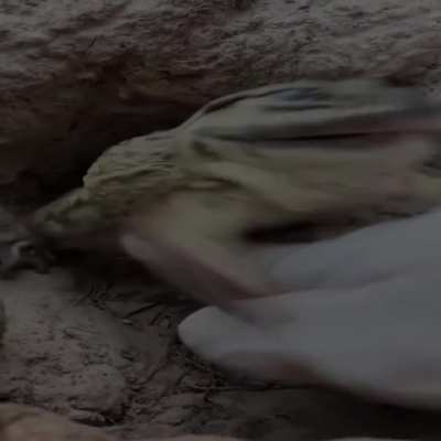 i guese this is a hope post?