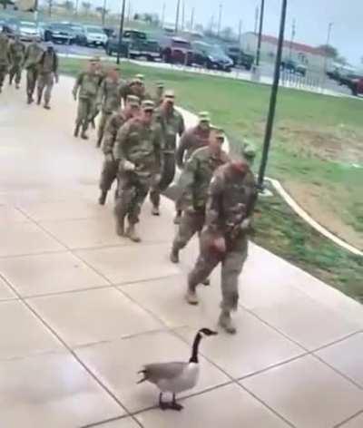 Canadian attacks US Soldiers