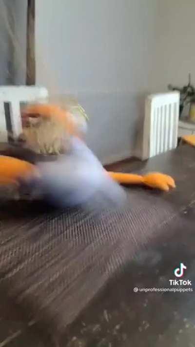 The car made me loose it