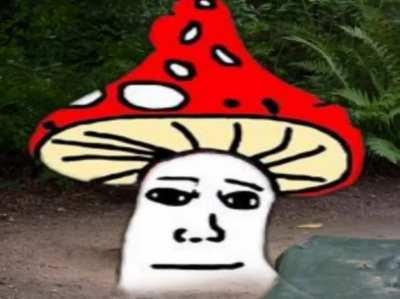 Paddenstoelen be like...