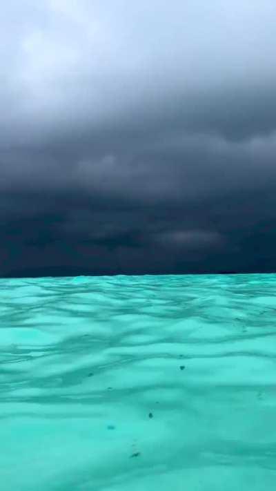 Not sure if beautiful or scary.