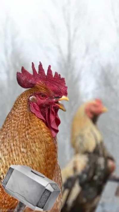 Cada vez que meten a Carola en un lio... El Chat: