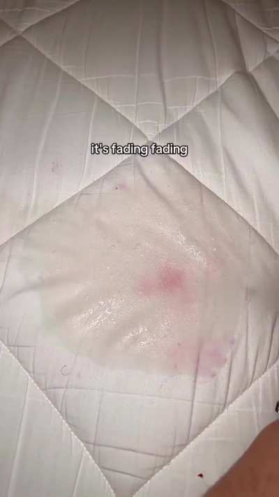 This thing works like magic