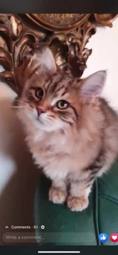 Found this gem 💎 💕