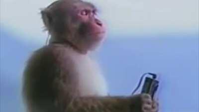 When you're 3:29 into Shell of Light