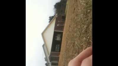 Guys Being Dudes with a Potato Gun and Stuffed Bear