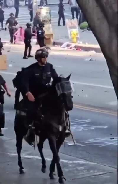 Yesterday in LA, woman gets trampled by police horses and shot at.