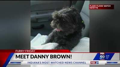 Danny Brown on the news