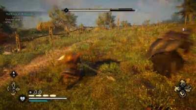 He didn't even know what was happening