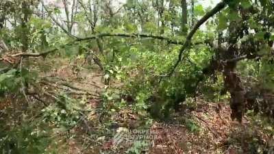 storm of enemy positions. The occupiers shot through the 