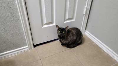 She closed herself in and instantly regret it