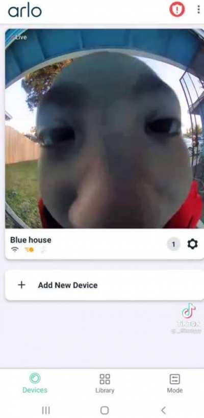 RING DOOR * MUNCH * RING DOOR * MUNCHING INTENSIFIES *