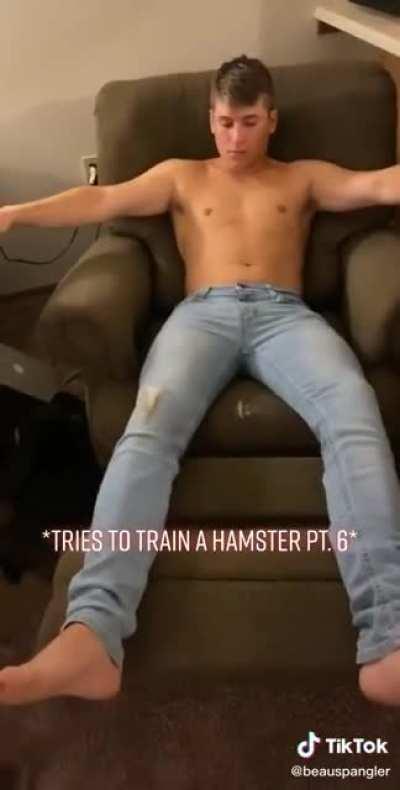 Trying to train Squishy.