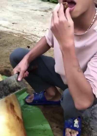 Let’s eat some pig... what?