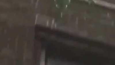 Guns is a fookin bop