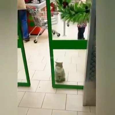 Kitty ran out of fuck to give