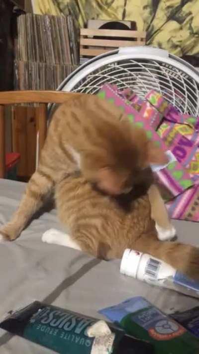 Sometimes things are a little too complicated.