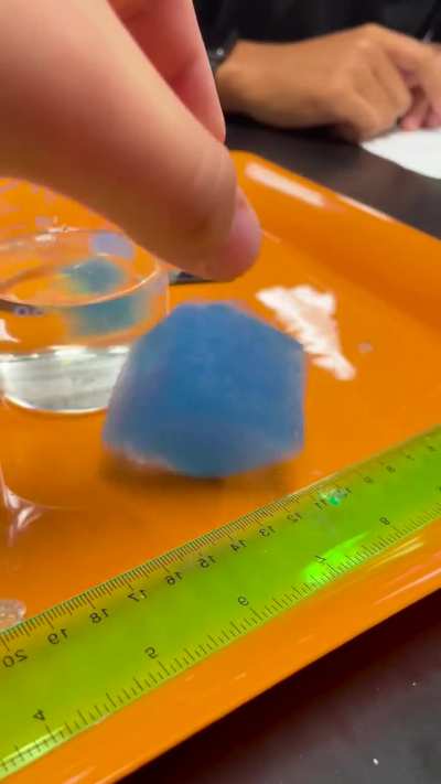 My biology class is advancing science by 300 years